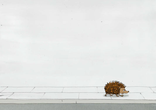 Hedgehog Goes for a Walk