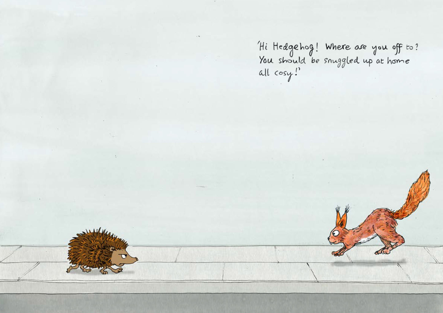 Hedgehog Goes for a Walk