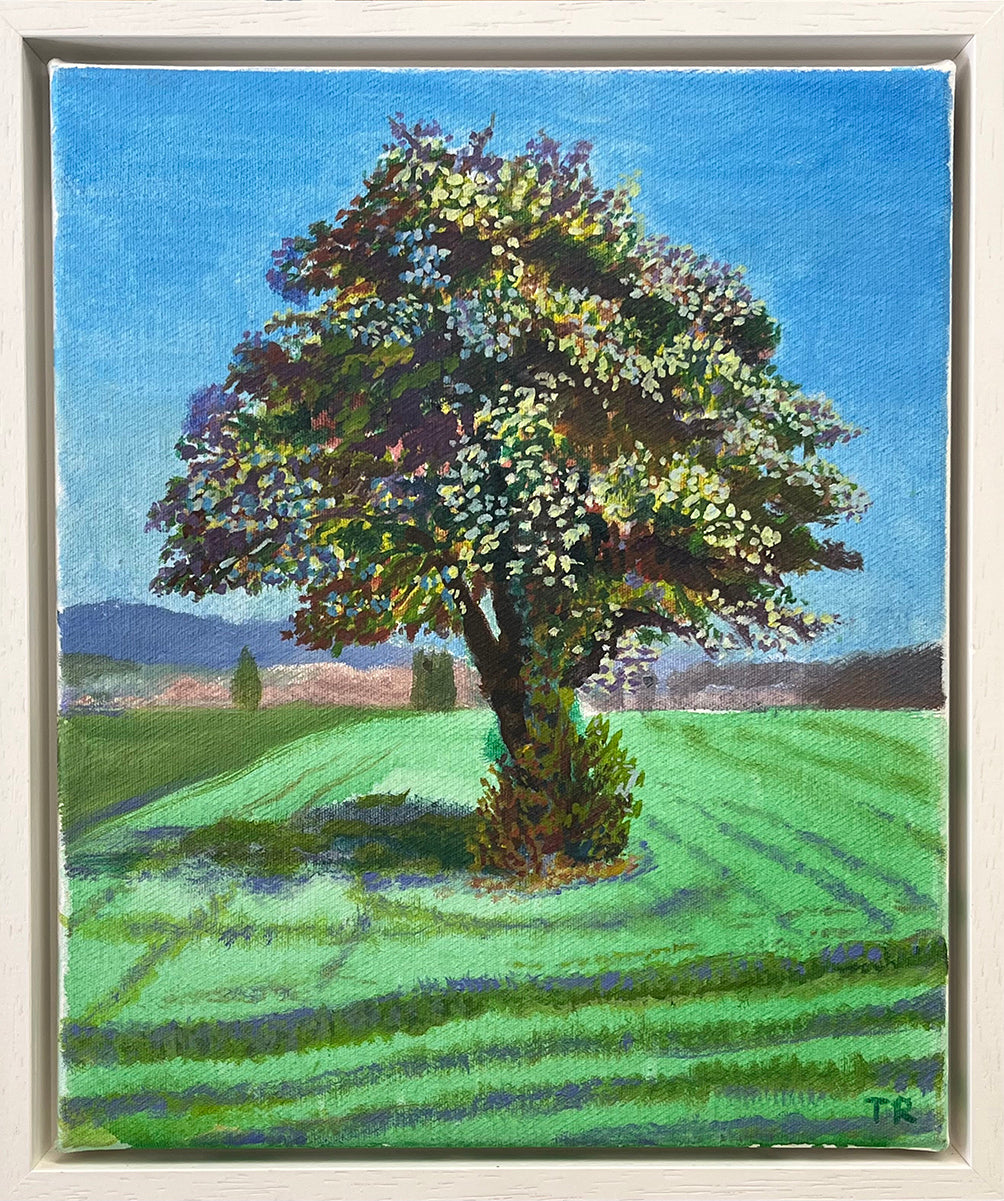 Apple Tree
