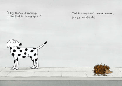 Hedgehog Goes for a Walk