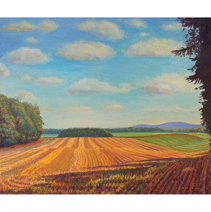 Paintings post card collection