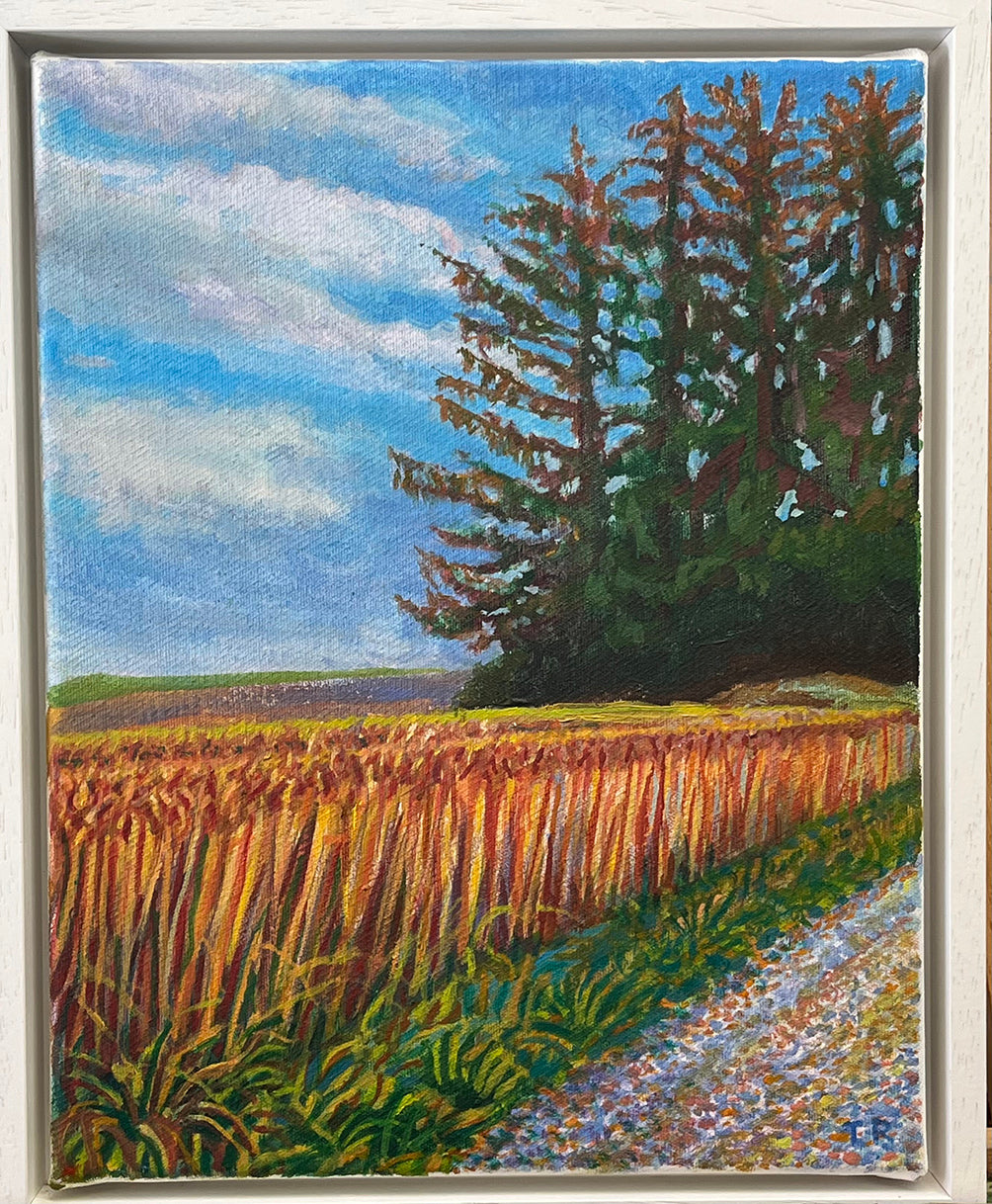 Pines and Wheat