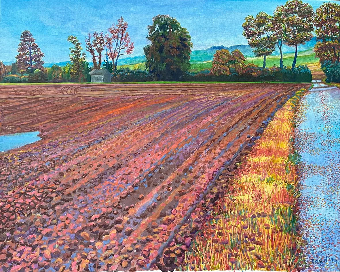 Ploughed Field